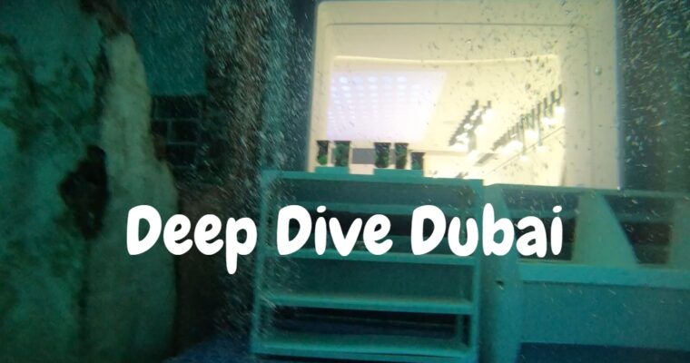 【杜拜】Deep Dive Dubai全世界最深潛水池超壯觀🥽裡頭就像是個水底城市!阿聯酋王子的水下世界