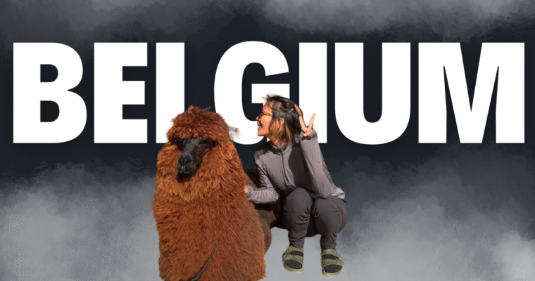 異國戀的優缺點：跨越距離的愛情考驗與成長之我搬到比利時了