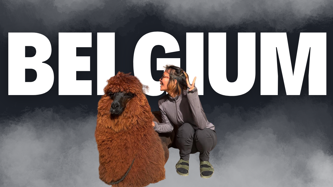 異國戀的優缺點：跨越距離的愛情考驗與成長之我搬到比利時了