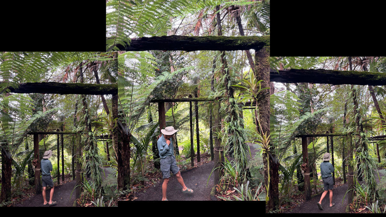 🏔️ 紐西蘭南島景點總整理｜2025 最新旅遊攻略與必去景點詳細介紹