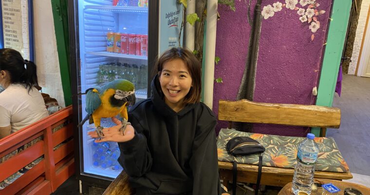 我嫁去比利時的故事：從現實出發，走向自我覺醒的旅程